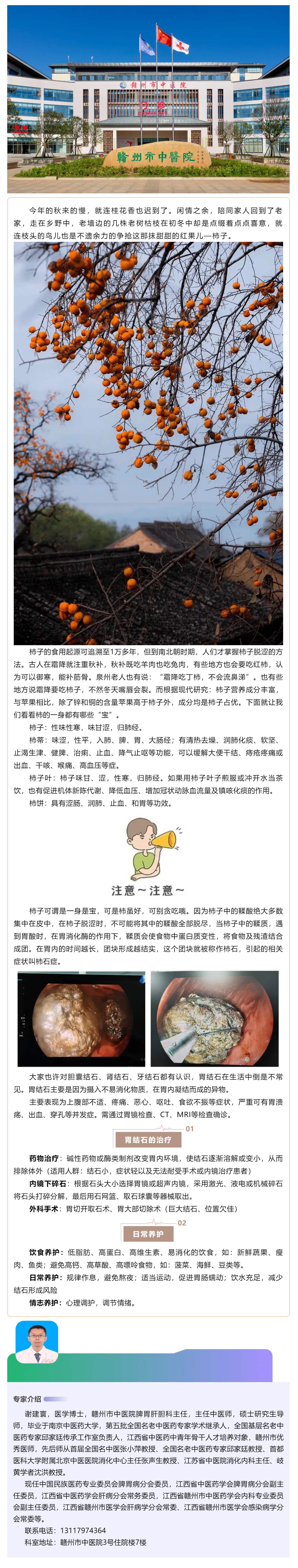 【科普】多“柿”之秋，愛吃柿子的你，小心胃石癥.png